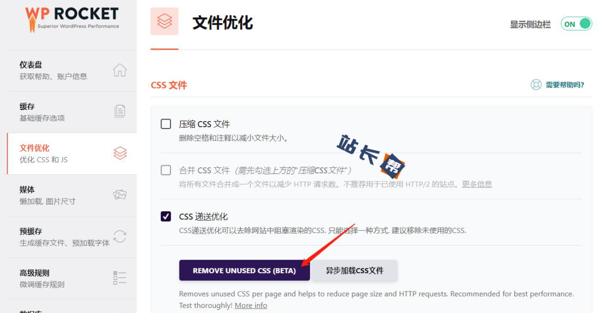 WP Rocket 删除未使用的CSS