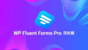WP Fluent Forms Pro 汉化版