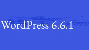 WordPress 6.6.1